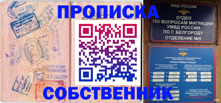 прописка для школы в Камышине